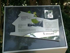 -活水公园