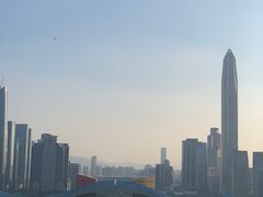-莲花山公园