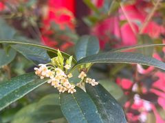 -天龙八部武侠城