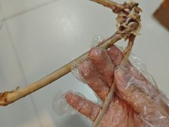 -小罗卤鹅(莲花广场店)