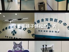 -睿金宠物医院·CT·肿瘤·骨外科