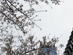 -苏州现代传媒广场商业