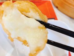 炸鲜奶-点点心点心专门店(旺角店)