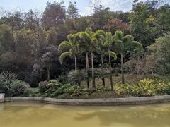 -云溪植物园