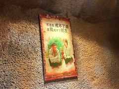 -愿者上钩(龙华华润万家店)