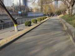 -元大都城垣遗址公园