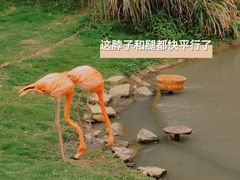-宁波野生动物园