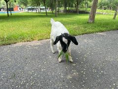 -西部长青自然儿童乐园