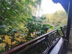 -秋霞圃