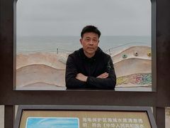 -广东惠东海龟国家级自然保护区