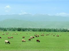 -新疆那拉提国家旅游度假区