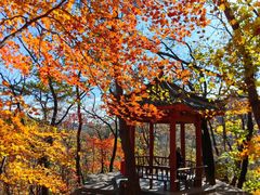 -丹东凤凰山景区