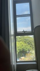 -宝生月子中心·独栋独院式(南山店)