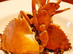 -万丽轩·粤菜(王府井金茂万丽酒店)