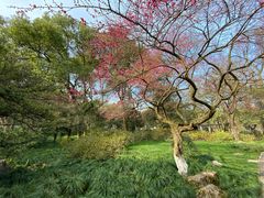 -杭州植物园