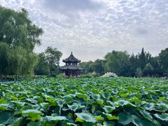 -莲池书院博物馆