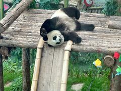 -大连森林动物园