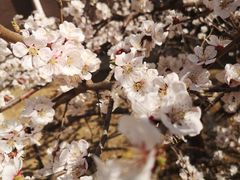-三月居酒屋(青年大街店)