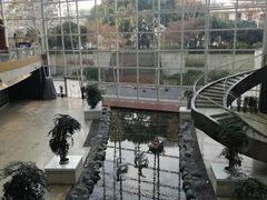 -上海外滩茂悦大酒店