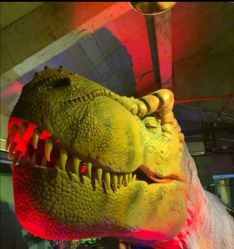 -恐龙探索乐园(磁器口店)