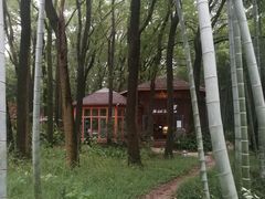 -同里国家湿地公园
