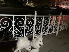 -美联众合24小时·皮肤科·外科·全科诊疗中心(华苑分院)