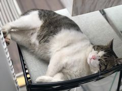 -UNI UNI(环亚凯瑟琳店)