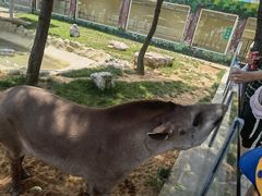 -西霞口神雕山野生动物世界