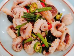 捞汁八爪鱼-万荣烤鸭店·北京菜(天坛店)
