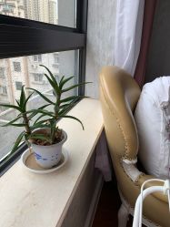 点击看大图 -蓓爱娇琪月子会所(虹口店)
