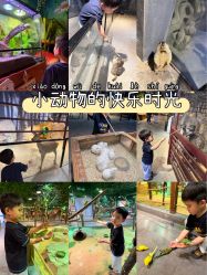 -酷嗒动物文化乐园(cutezoo西溪乐天城店)