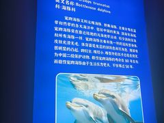 -福州罗源湾海洋世界旅游区