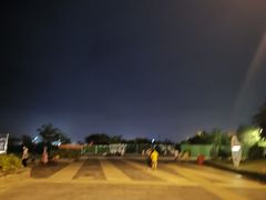 -万绿园