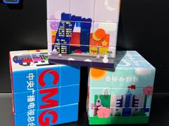 -中央广播电视总台(光华路办公区)