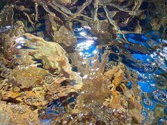 -蟹之国·精品蟹料理(极地店)