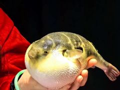 -永安鱼庄·镇江菜(东吴路店)