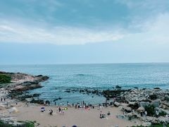 -广东惠东海龟国家级自然保护区