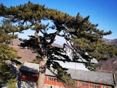 -妙峰山风景名胜区