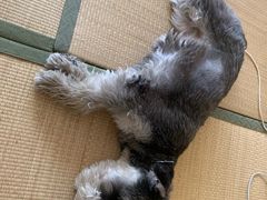 -仰生如卉推拿养生馆(酒仙桥店)