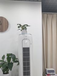 -Cream88颜皮肤管理中心