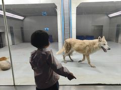 -大连圣亚海洋世界