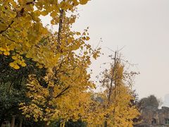 -山城巷传统风貌区