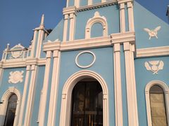 -杭州湾海上花田景区