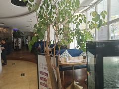 -花舍·新派粤菜·西餐·下午茶(亚运村·鸟巢店)