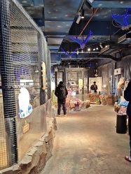 -酷嗒动物文化乐园(cutezoo西溪乐天城店)