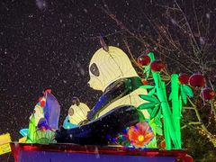 -南宫五洲植物乐园