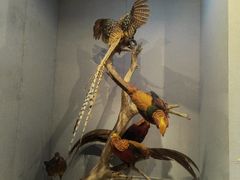 -武汉园博园(武汉自然博物馆)
