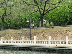 -皇家御河游(紫御湾码头)