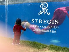-三亚亚龙湾瑞吉度假酒店