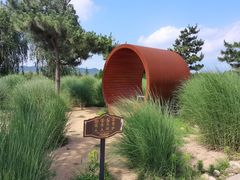 -羊亭河湿地公园